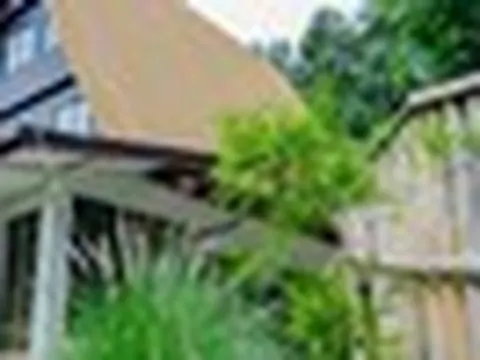 10 loại cây chớ nên trồng sát cửa nhà