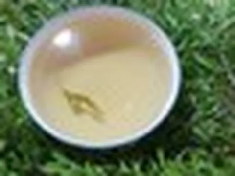 Lời khuyên dành cho tất cả những ai uống nước lá đinh lăng