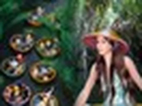 Phát hiện khu rừng nước lợ nuôi sống cả ngàn hộ dân miền Trung, mỗi ngày đón 6.000 khách, vừa được Forbes xếp hạng 20 thế giới