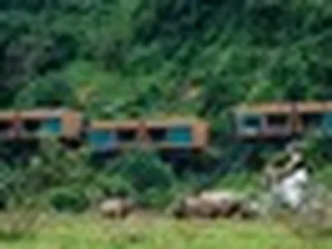 Phát hiện ngôi làng có hơn 600 căn nhà "biết nổi" mỗi khi nước dâng, từng được vinh danh tốt nhất thế giới