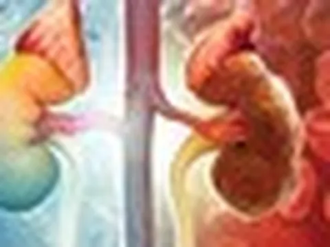 Thói quen hàng đầu gây hại cho thận: Nhiều người làm từ khi còn trẻ mà không biết