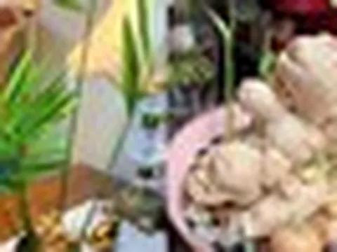 Vì sao nhiều gia đình trồng 1 chậu gừng trong nhà? Hóa ra không chỉ làm gia vị