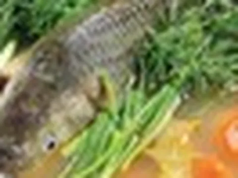 5 lời khuyên cho những gia đình thường xuyên ăn cá trắm