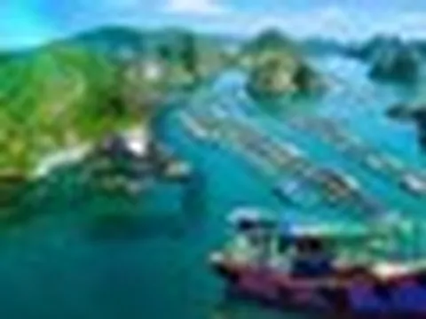 Việt Nam có làng chài lâu hơn kim tự tháp Ai Cập hơn 2.000 năm: Đào lên được 88 đầu cá biển, giờ vẫn 300 hộ sống trên mặt nước