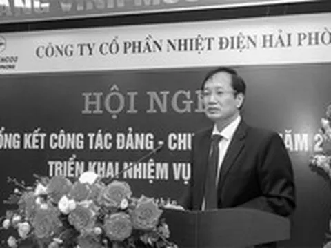Chủ tịch qua đời, Tổng giám đốc bị bắt, doanh nghiệp điện có tài sản hơn 7.500 tỷ đồng triệu tập ĐHĐCĐ bất thường