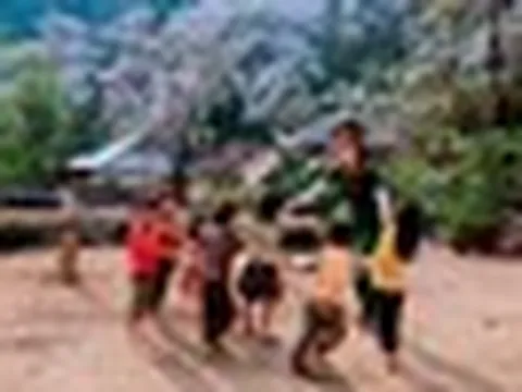 Phát hiện bản làng giữa hơn 1.200 cây cổ thụ ở Việt Nam, đến mùa hoa cả sườn núi phủ trắng như tuyết