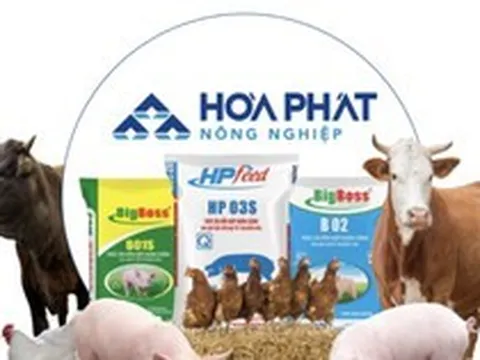 Công ty bán thịt heo, trứng gà của tỷ phú Trần Đình Long lãi 948 tỷ đồng sau 9 tháng, hoàn thành 94% kế hoạch năm